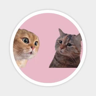 Cat couple meme Magnet